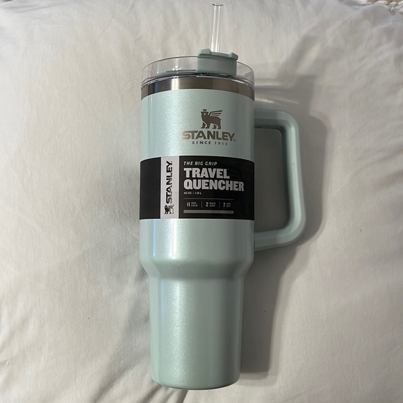 Stanley Other - Stanley 40 oz Quencher in Pearlescent Mint